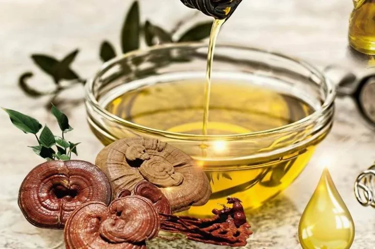 Health Benefits of Reishi Spore Oil