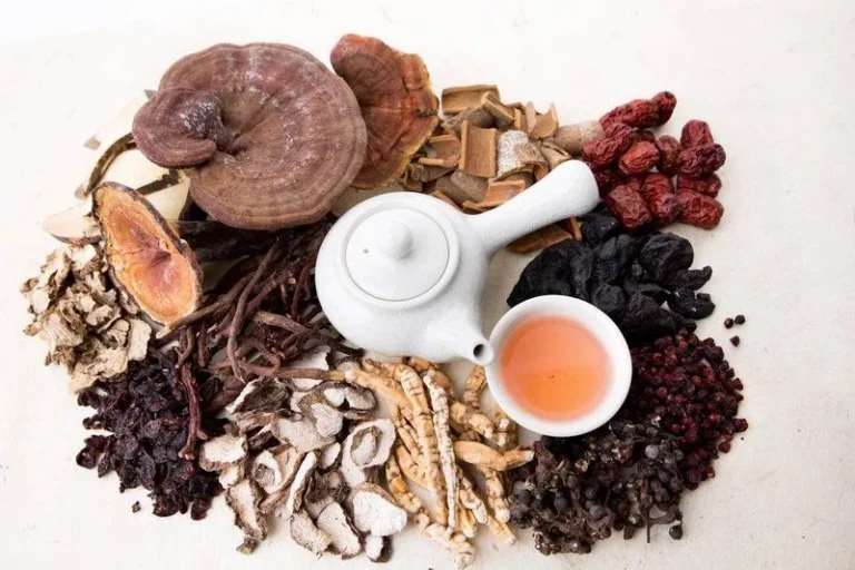 Can Reishi Boost Your Immunity?