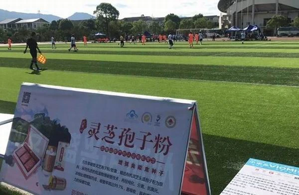 EcoGano Sponsored 9th China Longevity Cup Football Game